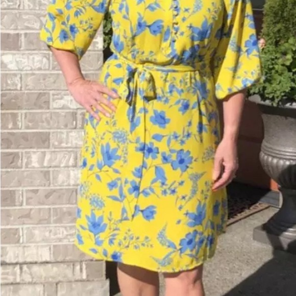Cabi 5794 Lemon Drop Dress Spring 2020 Size Small EUC - Picture 6 of 6